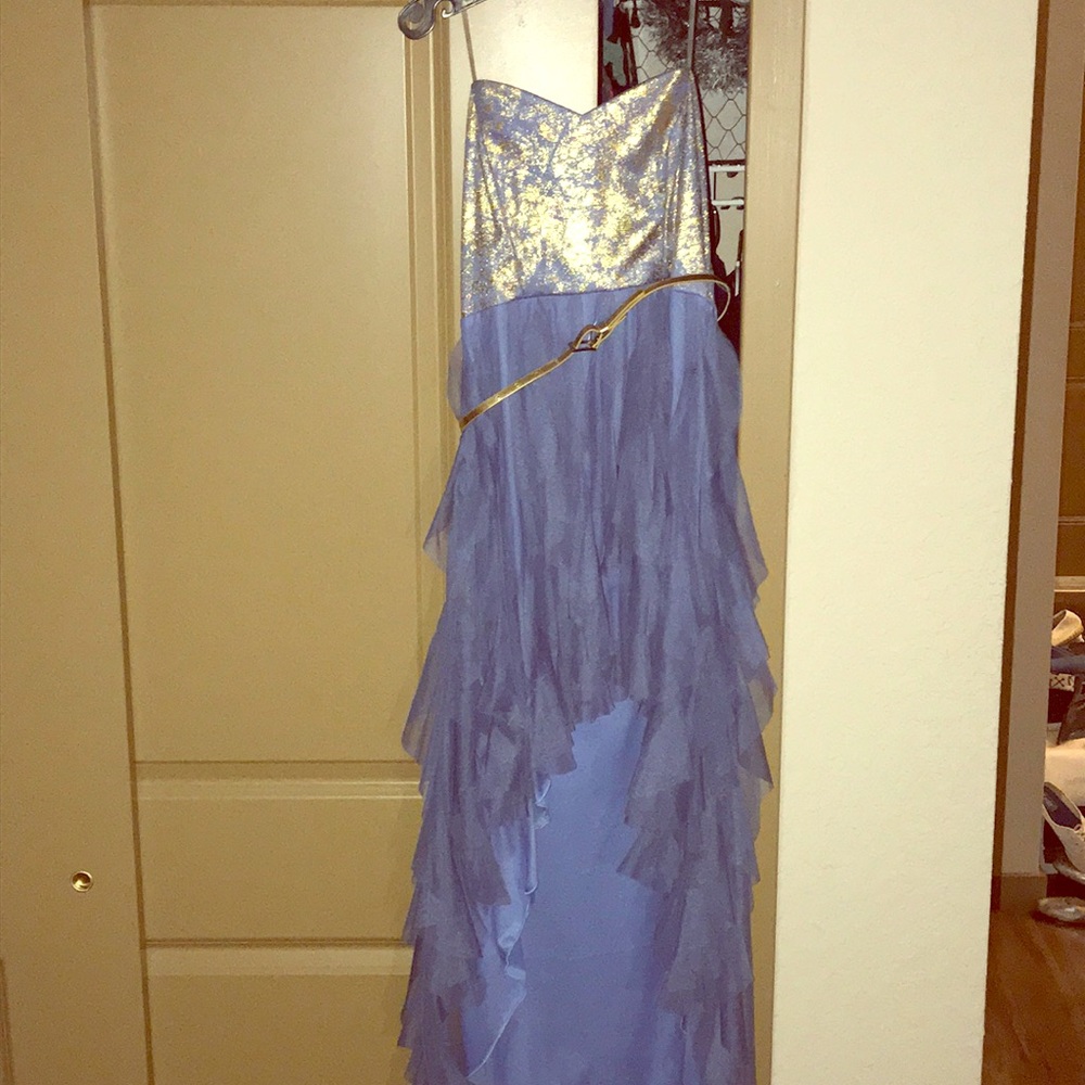 Periwinkle and Gold Strapless high low dress